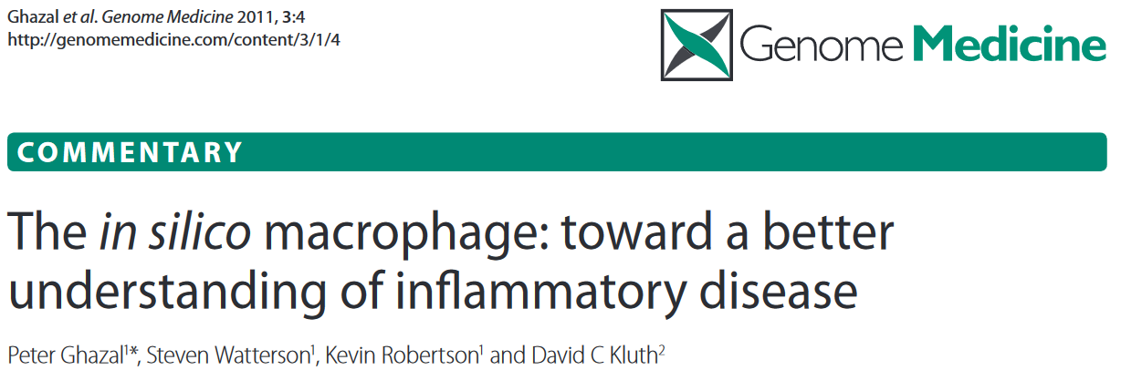 The in silico macrophage - toward a better understanding of inflammatory disease